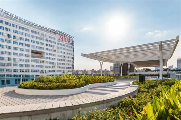 新加坡管理发展学院就业方向分析:哪些专业最吃香?