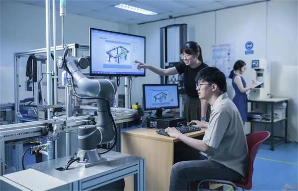 新加坡管理发展学院的本科课程的会计学领域